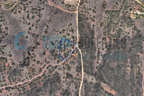 Helårsgrund i Sagres, Faro, Sagres - € 30.000 | Ref: CP-T2602 - foto 15