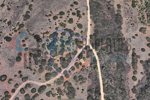 Helårsgrund i Sagres, Faro, Sagres - € 30.000 | Ref: CP-T2602 - foto 16