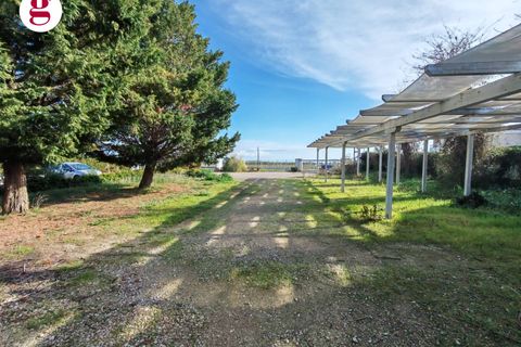 Helårsgrund i Vasto, Chieti, Vasto - € 390.000 | Ref: IM202584 - foto 12