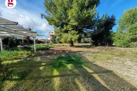Helårsgrund i Vasto, Chieti, Vasto - € 390.000 | Ref: IM202584 - foto 14