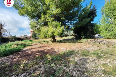 Helårsgrund i Vasto, Chieti, Vasto - € 390.000 | Ref: IM202584 - foto 15