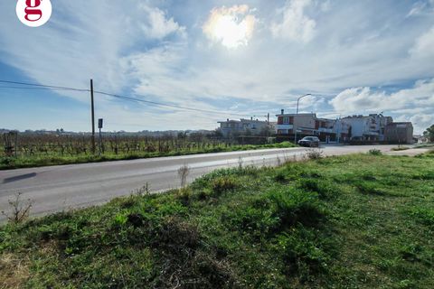 Helårsgrund i Vasto, Chieti, Vasto - € 390.000 | Ref: IM202584 - foto 22