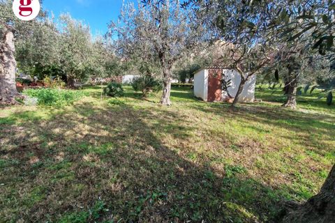 Helårsgrund i Vasto, Chieti, Vasto - € 85.000 | Ref: IM202593 - foto 2