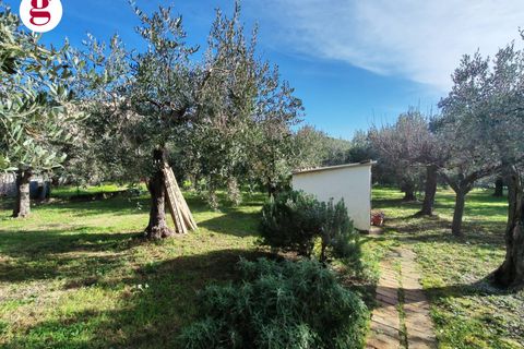 Helårsgrund i Vasto, Chieti, Vasto - € 85.000 | Ref: IM202593 - foto 3