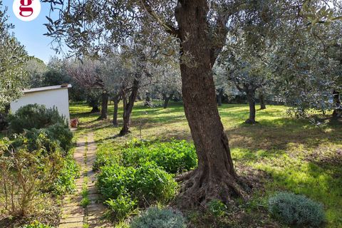Helårsgrund i Vasto, Chieti, Vasto - € 85.000 | Ref: IM202593 - foto 4