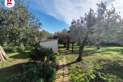 Helårsgrund i Vasto, Chieti, Vasto - € 85.000 | Ref: IM202593 - foto 5