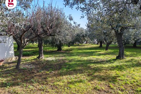 Helårsgrund i Vasto, Chieti, Vasto - € 85.000 | Ref: IM202593 - foto 6