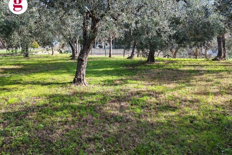 Helårsgrund i Vasto, Chieti, Vasto - € 85.000 | Ref: IM202593 - foto 9