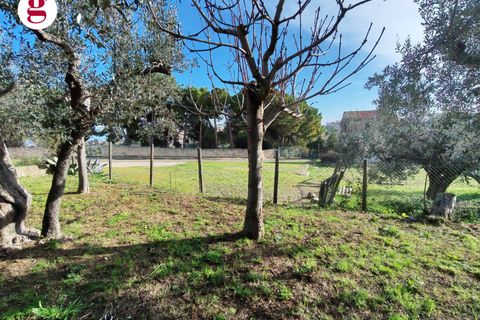 Helårsgrund i Vasto, Chieti, Vasto - € 85.000 | Ref: IM202593 - foto 11
