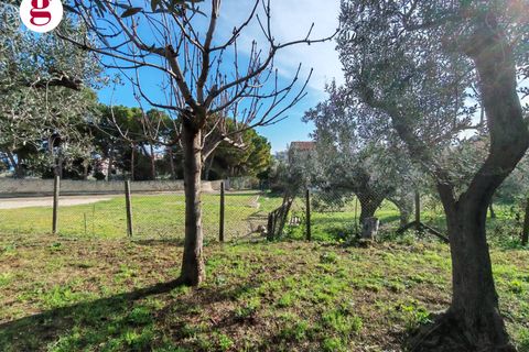 Helårsgrund i Vasto, Chieti, Vasto - € 85.000 | Ref: IM202593 - foto 12