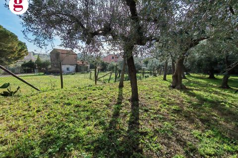 Helårsgrund i Vasto, Chieti, Vasto - € 85.000 | Ref: IM202593 - foto 13