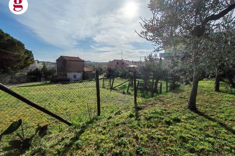 Helårsgrund i Vasto, Chieti, Vasto - € 85.000 | Ref: IM202593 - foto 14