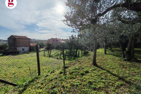 Helårsgrund i Vasto, Chieti, Vasto - € 85.000 | Ref: IM202593 - foto 15