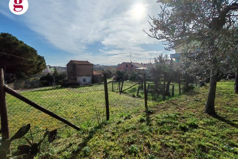 Helårsgrund i Vasto, Chieti, Vasto - € 85.000 | Ref: IM202593 - foto 16