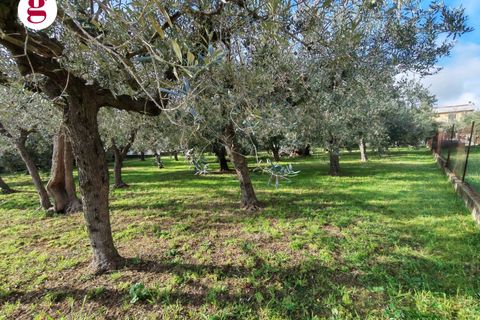 Helårsgrund i Vasto, Chieti, Vasto - € 85.000 | Ref: IM202593 - foto 17