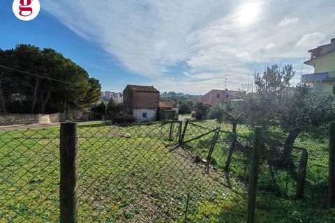 Helårsgrund i Vasto, Chieti, Vasto - € 85.000 | Ref: IM202593 - foto 18