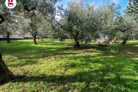 Helårsgrund i Vasto, Chieti, Vasto - € 85.000 | Ref: IM202593 - foto 19
