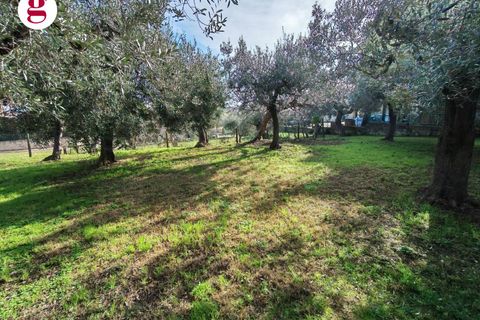 Helårsgrund i Vasto, Chieti, Vasto - € 85.000 | Ref: IM202593 - foto 20