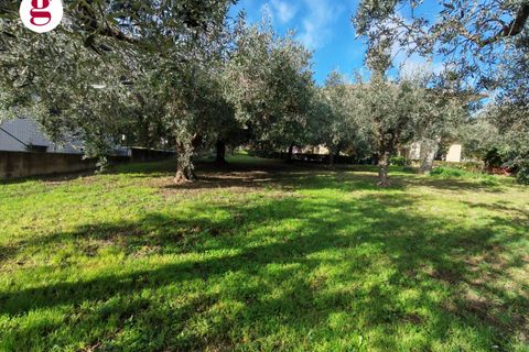 Helårsgrund i Vasto, Chieti, Vasto - € 85.000 | Ref: IM202593 - foto 24