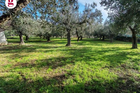 Helårsgrund i Vasto, Chieti, Vasto - € 85.000 | Ref: IM202593 - foto 25