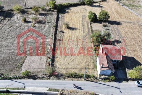 Helårsgrund i Vila Real, Vila Real, Vila Real - € 68.000 | Ref: TER_465 - foto 4