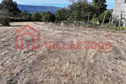 Helårsgrund i Vila Real, Vila Real, Vila Real - € 68.000 | Ref: TER_465 - foto 6
