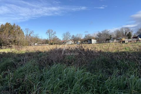 Terra a Étroussat, Allier, Étroussat - € 19.500 | Ref: G1094 - foto 2