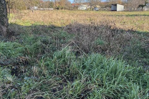 Terra a Étroussat, Allier, Étroussat - € 19.500 | Ref: G1094 - foto 5