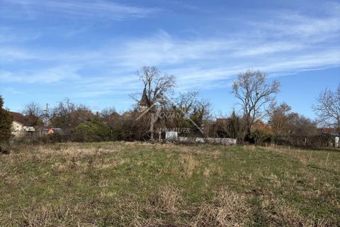 Terra a Étroussat, Allier, Étroussat - € 19.500 | Ref: G1094 - foto 6