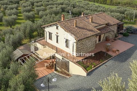 Villa a Collazzone, Perugia, Collazzone - € 395.000 | Ref: 71696 - foto 6