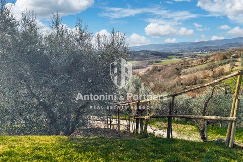 Villa a Collazzone, Perugia, Collazzone - € 395.000 | Ref: 71696 - foto 18