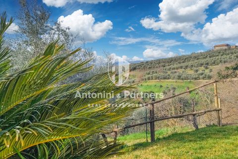 Villa a Collazzone, Perugia, Collazzone - € 395.000 | Ref: 71696 - foto 29