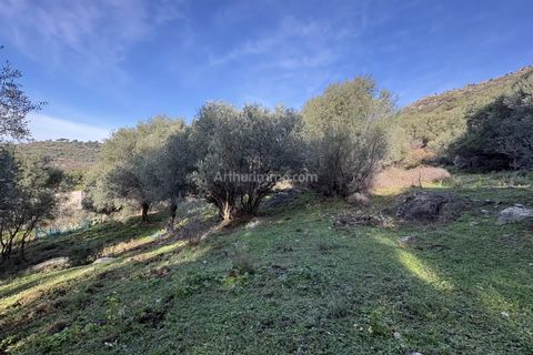Terra a Montegrosso, Haute-Corse, Montegrosso - € 556.000 | Ref: 2295 - foto 3