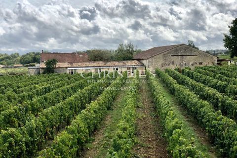Villa a Yvrac, Gironde, Yvrac - € 980.000 | Ref: XR1100 - foto 18