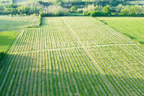 Villa a Yvrac, Gironde, Yvrac - € 980.000 | Ref: XR1100 - foto 4