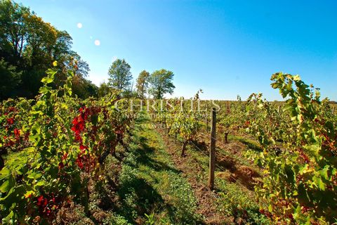 Landejendom i Asques, Gironde, Asques - € 1.245.000 | Ref: XR2021 - foto 14