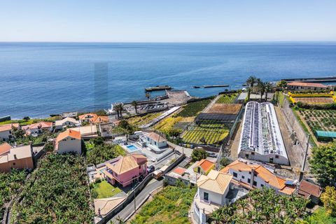 Byhus i Ponta do Sol, Madeira, Ponta do Sol - € 445.000 | Ref: KWPT-027420 - foto 34