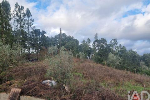 Byhus i Serta, Castelo Branco, Serta - € 325.000 | Ref: 802941 - foto 22