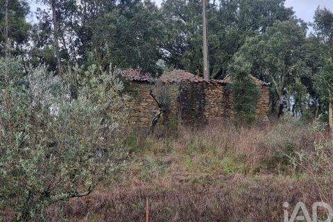 Byhus i Serta, Castelo Branco, Serta - € 325.000 | Ref: 802941 - foto 29