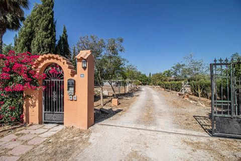 Landejendom i Catral, Alicante, Catral - € 975.000 | Ref: Cat Tam - foto 7