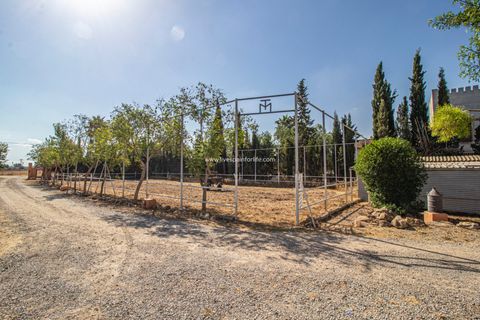 Landejendom i Catral, Alicante, Catral - € 975.000 | Ref: Cat Tam - foto 9