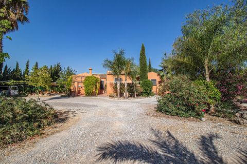 Landejendom i Catral, Alicante, Catral - € 975.000 | Ref: Cat Tam - foto 13