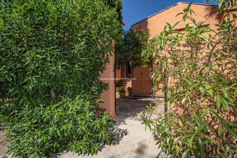 Landejendom i Catral, Alicante, Catral - € 975.000 | Ref: Cat Tam - foto 22