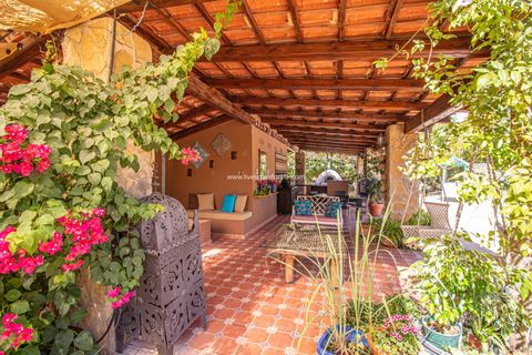 Landejendom i Catral, Alicante, Catral - € 975.000 | Ref: Cat Tam - foto 31