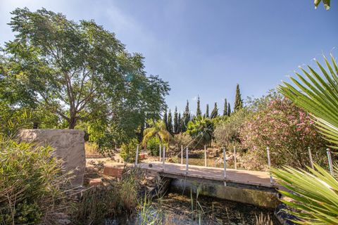 Landejendom i Catral, Alicante, Catral - € 975.000 | Ref: Cat Tam - foto 47
