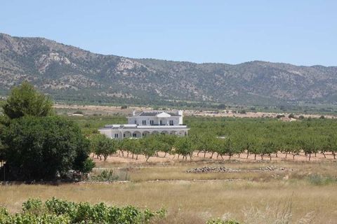 Villa a Pinoso, Alicante, Pinoso - € 547.000 | Ref: 74706 - foto 15
