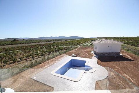 Villa a Pinoso, Alicante, Pinoso - € 375.000 | Ref: 31489 - foto 16