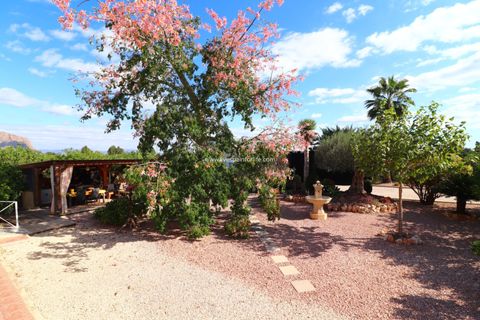 Landejendom i Orihuela, Alicante, Orihuela - € 355.000 | Ref: VRE-31637 - foto 33