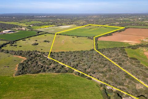 Terra a Campos, Mallorca, Campos - € 1.500.000 | Ref: 07SJRG013/3010 - foto 2