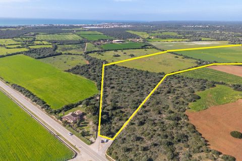 Terra a Campos, Mallorca, Campos - € 1.500.000 | Ref: 07SJRG013/3010 - foto 3